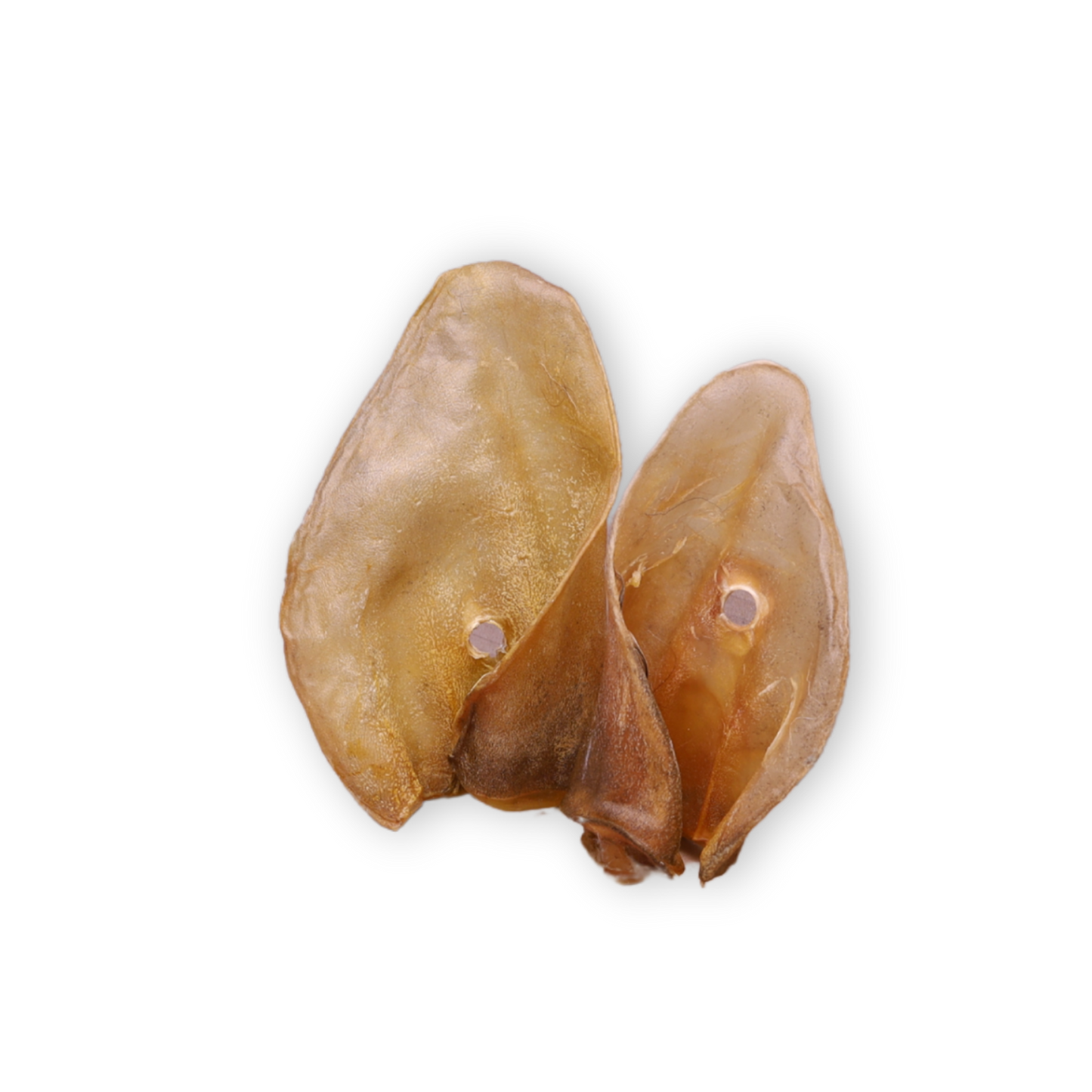 ORECCHIE DI BOVINO - 2 PEZZI