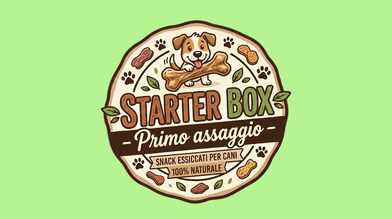 🟢 Starter Box 📦