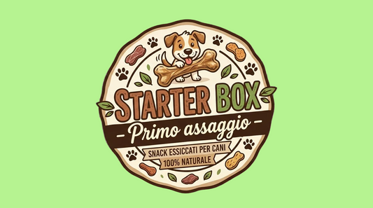 🟢 Starter Box 📦