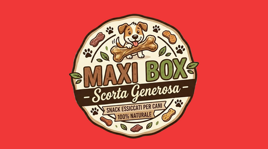 🔴 Maxi Box 📦
