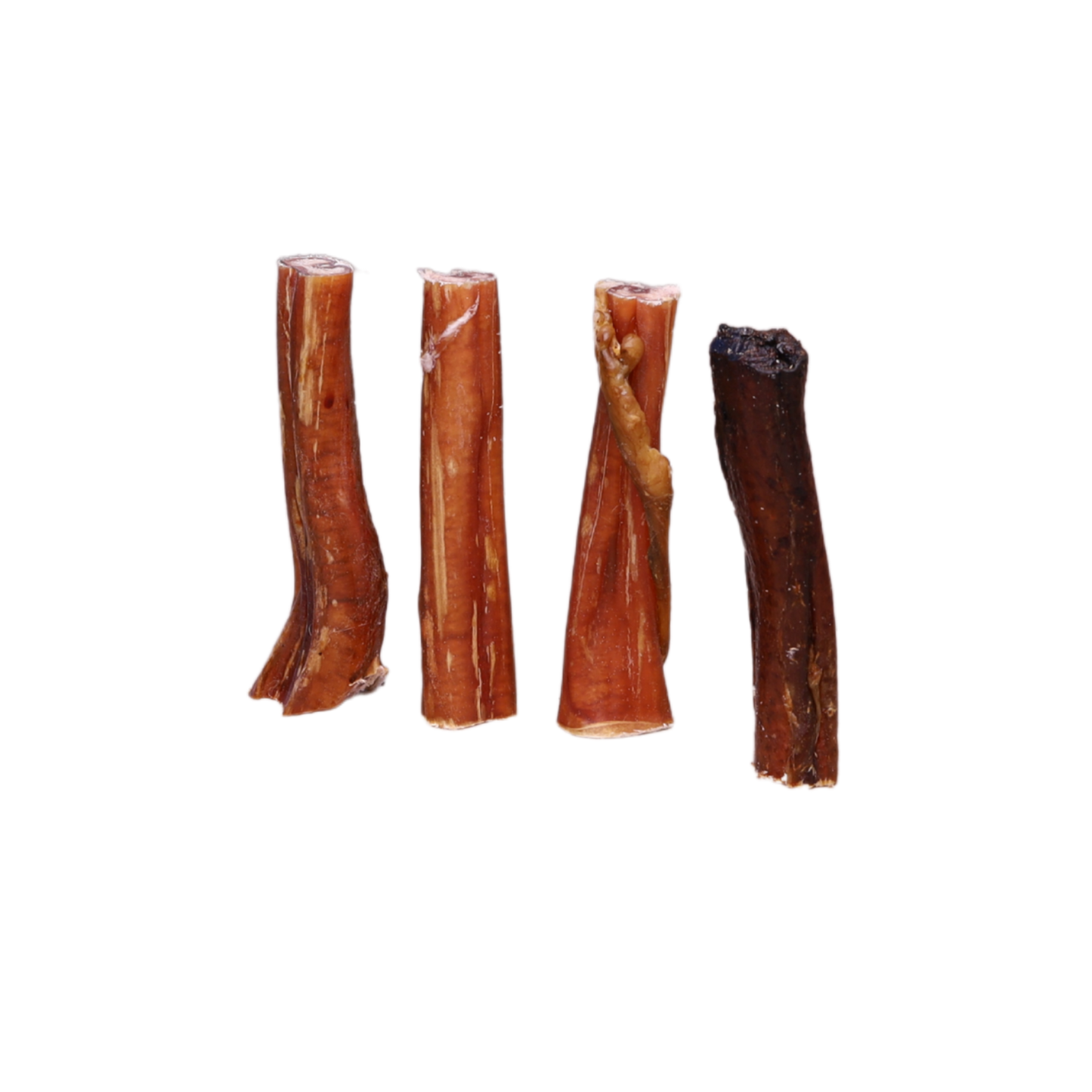 NERVO DI BOVINIO - 4 PEZZI 12cm